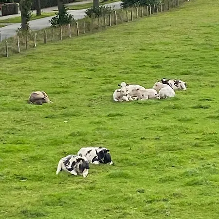 Apartment Auf Dem Lande Riepsdorf