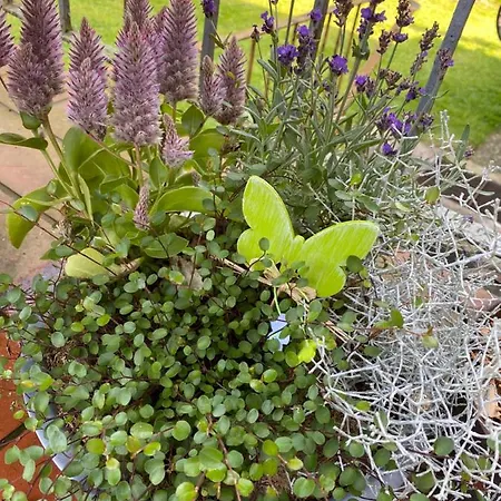 Apartment Auf Dem Lande *